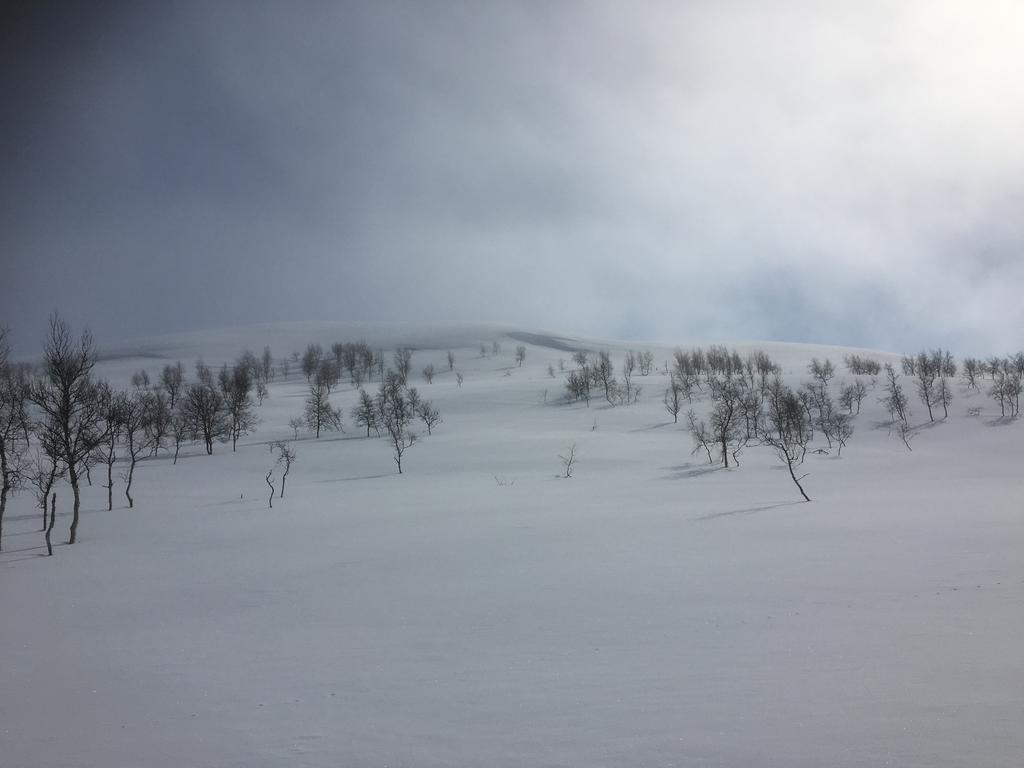 Pilgrimshotellet - South Lapland Gaddede Luaran gambar